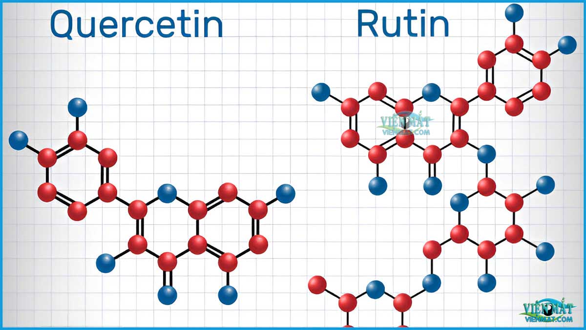 Quercetin và Rutin cho mắt